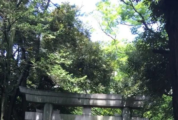 赤坂氷川神社の写真・動画_image_145115
