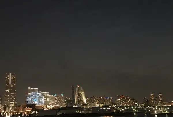 横浜港大さん橋国際客船ターミナル（大さん橋）の写真・動画_image_145391