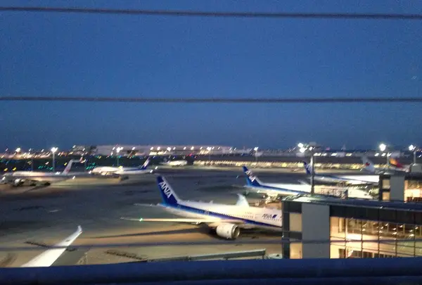 展望デッキ 羽田空港国際線ターミナルの写真・動画_image_146131