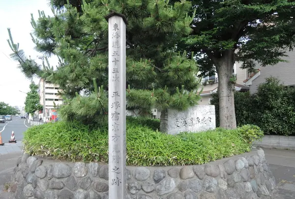 平塚市博物館の写真・動画_image_146158