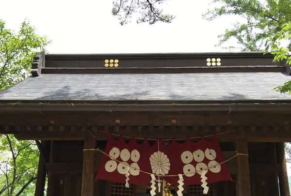 山家神社の写真・動画_image_146381