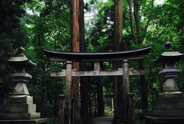十和田神社の写真・動画_image_146620