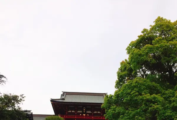 鶴岡八幡宮の写真・動画_image_148347