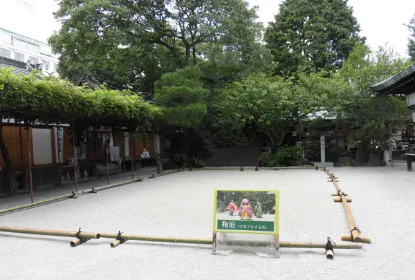 白峯神宮の写真・動画_image_148801