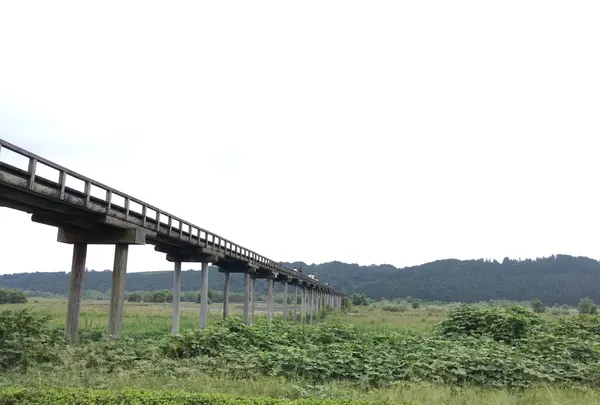 蓬莱橋の写真・動画_image_148831