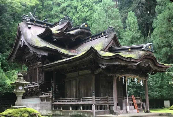 紙祖神岡太神社・大滝神社の写真・動画_image_149242