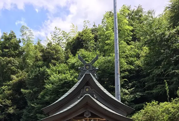 売豆紀神社の写真・動画_image_149451