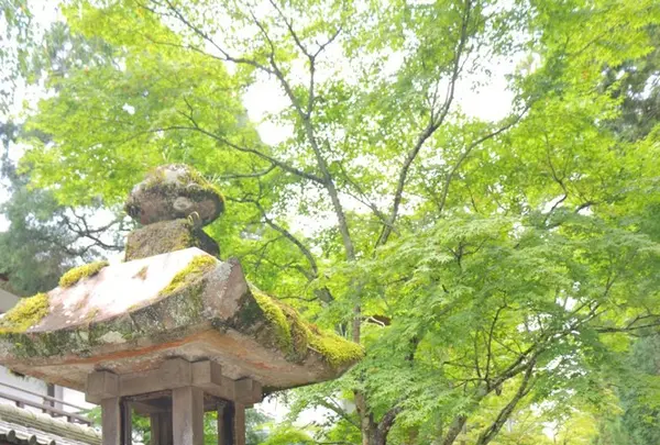 法多山尊永寺の写真・動画_image_149828