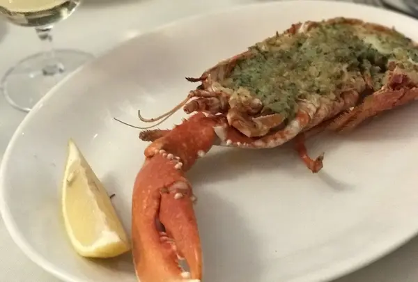 The Spiny Lobsterの写真・動画_image_153726