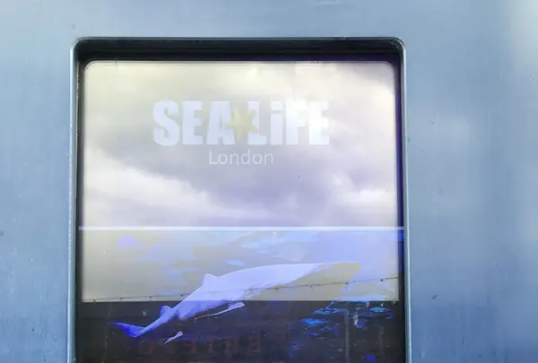 Sea Life London Aquariumの写真・動画_image_153829