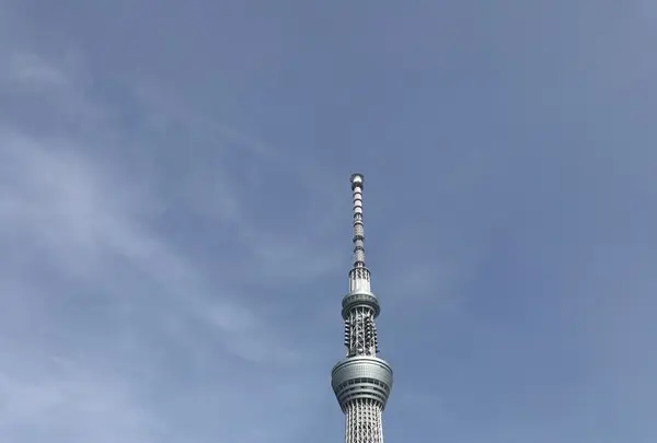 東京スカイツリーの写真・動画_image_154575