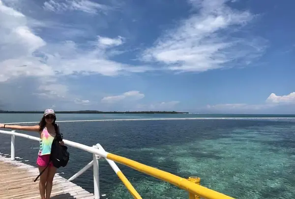フィリピン ボホール島の写真・動画_image_155171