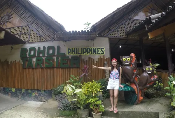 フィリピン ボホール島の写真・動画_image_155584