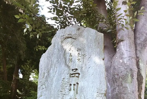 品川神社の写真・動画_image_157618