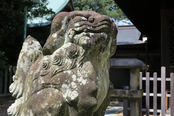 深川神社の写真・動画_image_157949