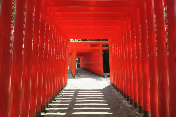 深川神社の写真・動画_image_157950