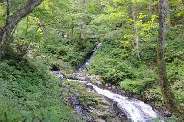阿弥陀ケ滝の写真・動画_image_158152