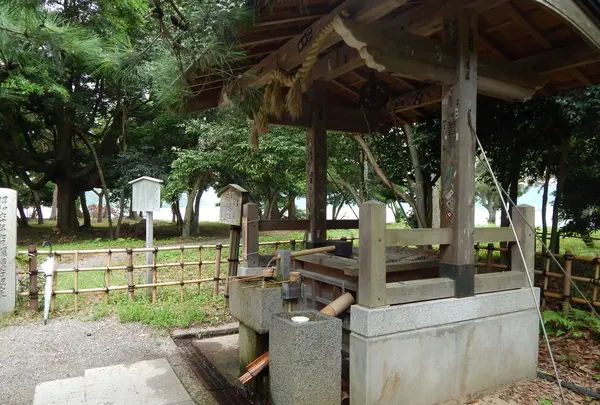 天橋立神社の写真・動画_image_159374