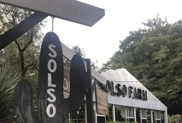 Solso Farmの写真・動画_image_161453