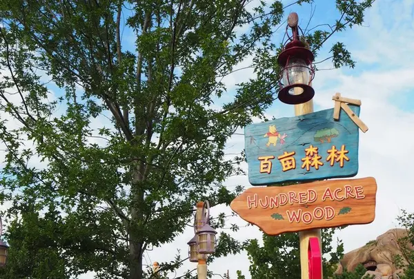 上海ディズニーランド（Shanghai Disneyland /  上海迪士尼乐园）の写真・動画_image_161658