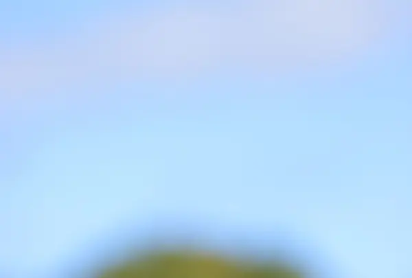 ひるがの高原コキアパークの写真・動画_image_161772