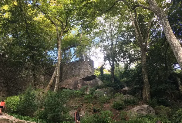 ムーアの城跡（Moore Castle）の写真・動画_image_162143