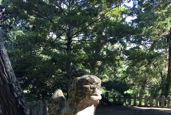 天橋立神社の写真・動画_image_162282