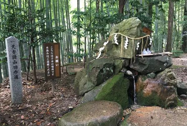 真名井神社の写真・動画_image_162422