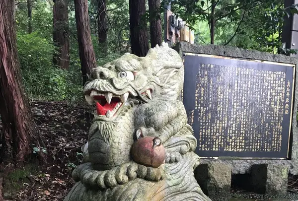 真名井神社の写真・動画_image_162425