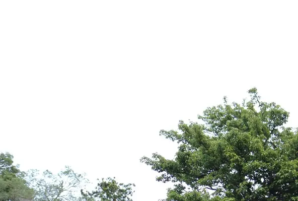 玉作湯神社の写真・動画_image_165105