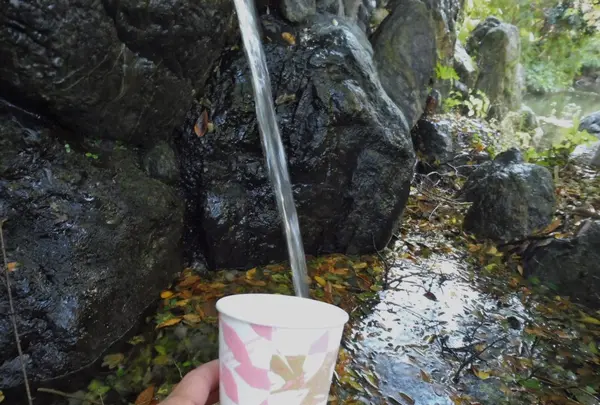 気比神社の写真・動画_image_166724