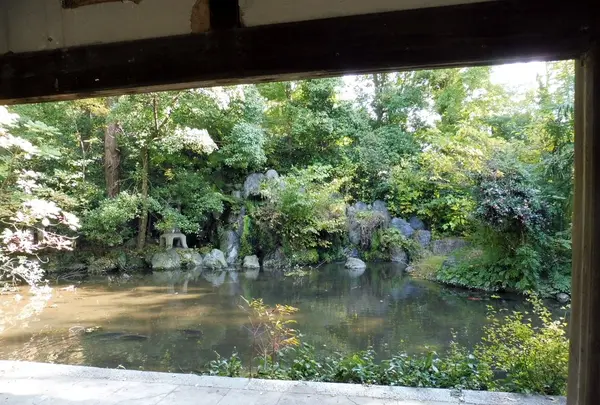 気比神社の写真・動画_image_166725