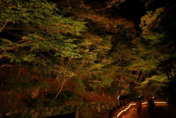 養老の滝の写真・動画_image_167593