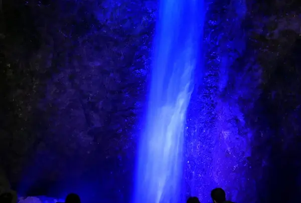 養老の滝の写真・動画_image_167594