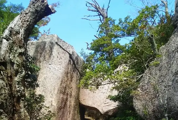 くぐり岩の写真・動画_image_167622