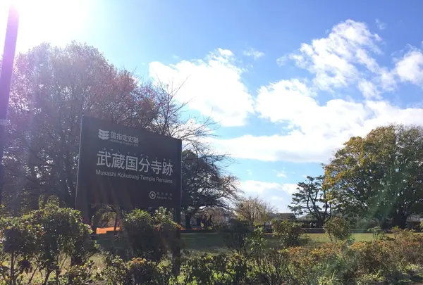 武蔵国分寺跡の写真・動画_image_168510
