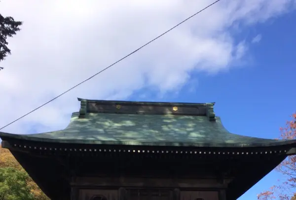 武蔵国分寺跡の写真・動画_image_168511