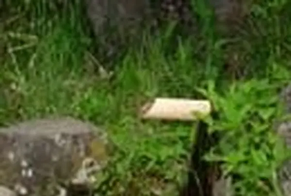 甲斐大泉温泉　パノラマの湯の写真・動画_image_168993
