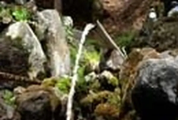 甲斐大泉温泉　パノラマの湯の写真・動画_image_168994