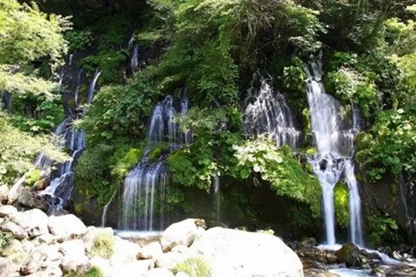 吐竜の滝の写真・動画_image_168997