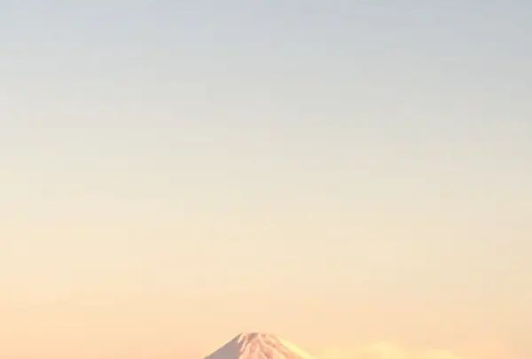 西伊豆 高級旅館 富岳群青の写真・動画_image_169799
