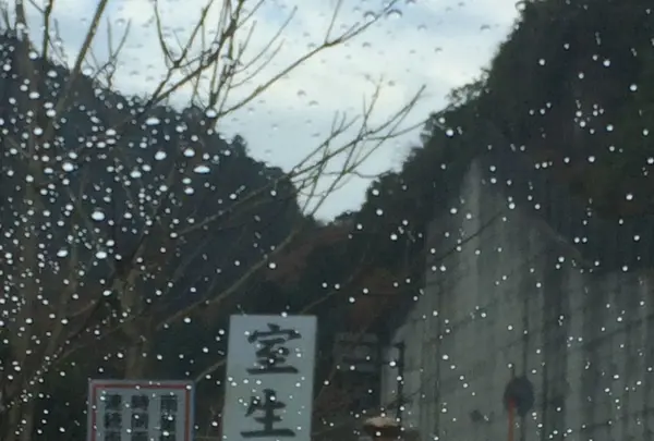 室生寺の写真・動画_image_170186