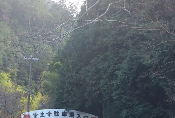 室生寺の写真・動画_image_170196