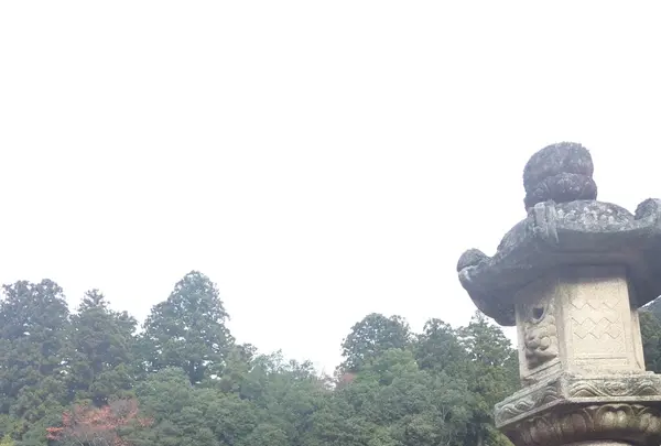 室生寺の写真・動画_image_170199