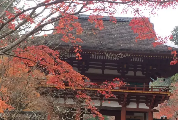 室生寺の写真・動画_image_170220