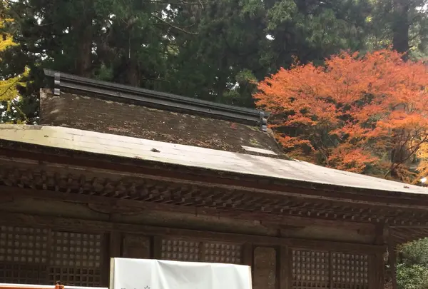 室生寺の写真・動画_image_170230