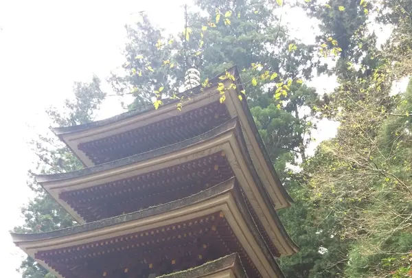 室生寺の写真・動画_image_170235