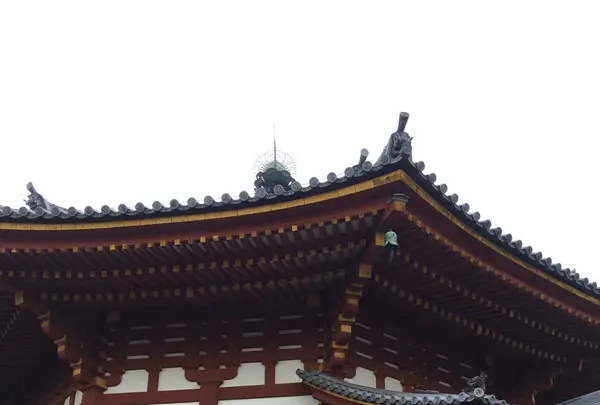 興福寺 南円堂（西国９番）の写真・動画_image_170359