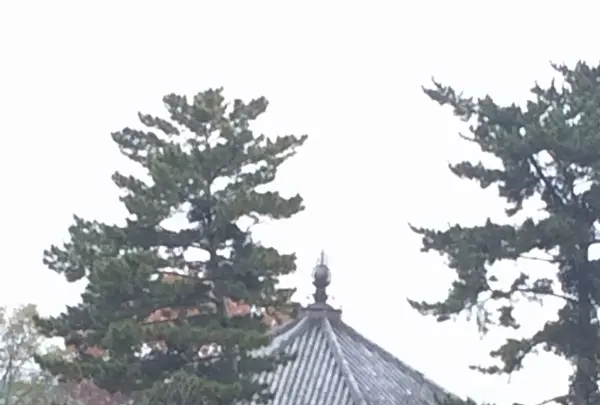 興福寺 南円堂（西国９番）の写真・動画_image_170361