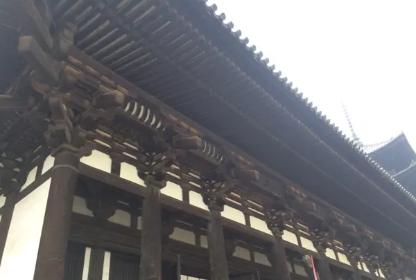 興福寺 東金堂の写真・動画_image_170366